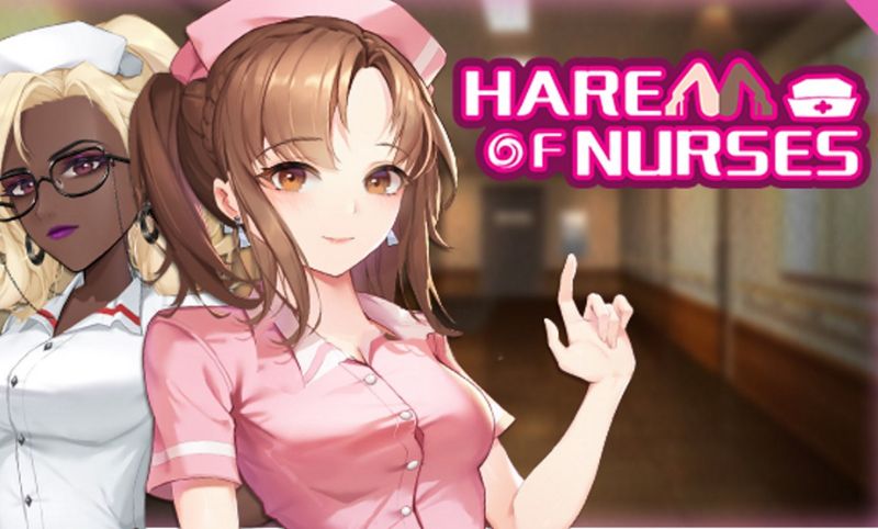 What Is Harem of Nurses About?